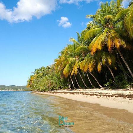 Kawan Nid - Tout Confort, Plage A 2 Min A Pied, Piscine, Wifi, Climatisation Grand-Bourg  Exteriér fotografie